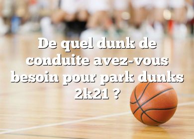 De quel dunk de conduite avez-vous besoin pour park dunks 2k21 ?